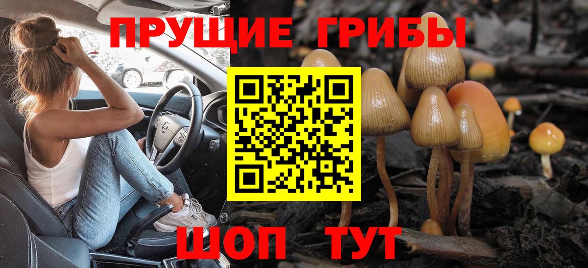 Галлюциногенные грибы Psilocybe Каменск-Уральский