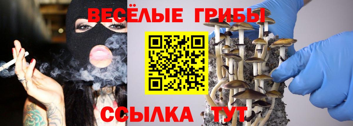 Каменск-Уральский  Галлюциногенные грибы Magic Shrooms  Галлюциногенные грибы прущие грибы  Вход с VPN 